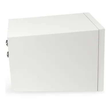 Центральный канал Martin Logan Motion C10 Satin White